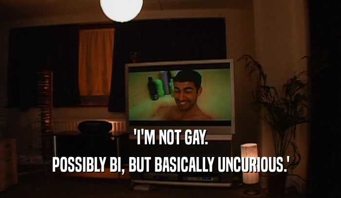 'I'M NOT GAY.
 POSSIBLY BI, BUT BASICALLY UNCURIOUS.'
 