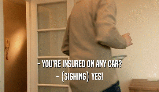 - YOU'RE INSURED ON ANY CAR? - (SIGHING) YES! 