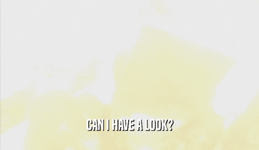 CAN I HAVE A LOOK?  