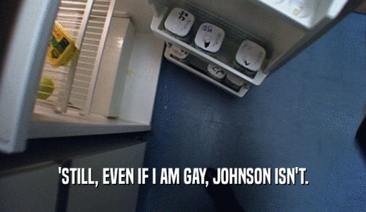 'STILL, EVEN IF I AM GAY, JOHNSON ISN'T.  