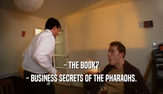 - THE BOOK? - BUSINESS SECRETS OF THE PHARAOHS. 