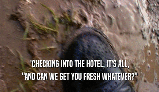 'CHECKING INTO THE HOTEL, IT'S ALL, 'AND CAN WE GET YOU FRESH WHATEVER?' 