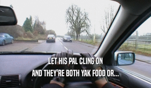 LET HIS PAL CLING ON AND THEY'RE BOTH YAK FOOD OR... 