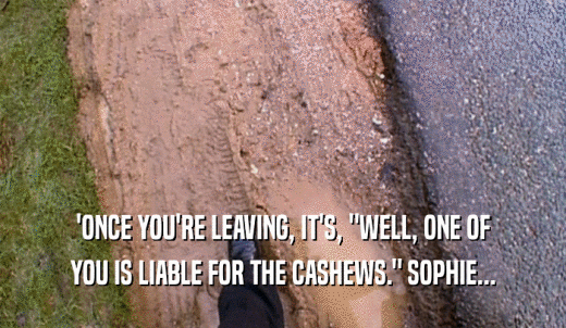 'ONCE YOU'RE LEAVING, IT'S, 'WELL, ONE OF YOU IS LIABLE FOR THE CASHEWS.' SOPHIE... 