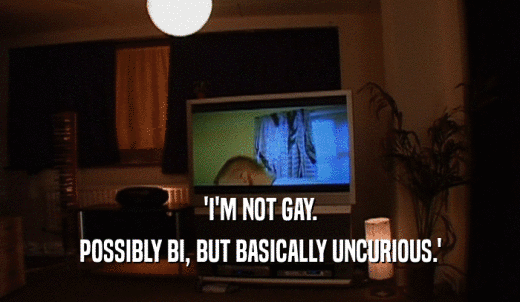 'I'M NOT GAY. POSSIBLY BI, BUT BASICALLY UNCURIOUS.' 