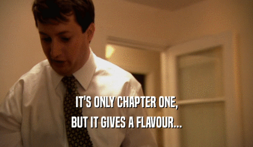IT'S ONLY CHAPTER ONE, BUT IT GIVES A FLAVOUR... 