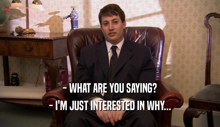 - WHAT ARE YOU SAYING? - I'M JUST INTERESTED IN WHY... 