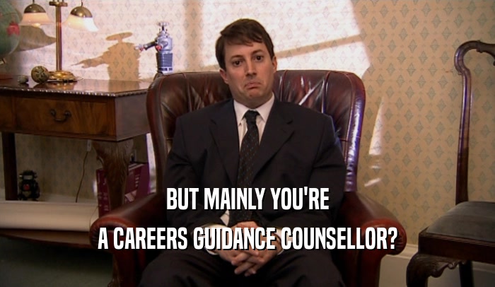 BUT MAINLY YOU'RE A CAREERS GUIDANCE COUNSELLOR? 