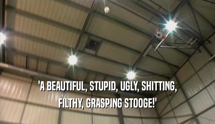 'A BEAUTIFUL, STUPID, UGLY, SHITTING, FILTHY, GRASPING STOOGE!' 