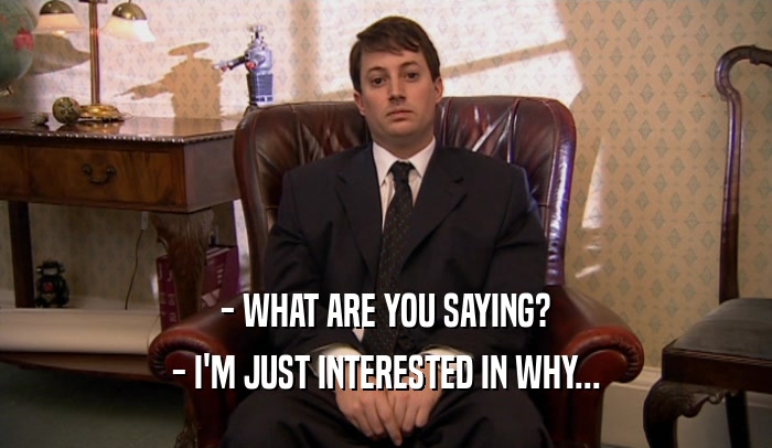- WHAT ARE YOU SAYING? - I'M JUST INTERESTED IN WHY... 