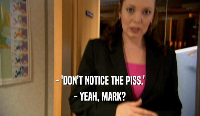 - 'DON'T NOTICE THE PISS.' - YEAH, MARK? 