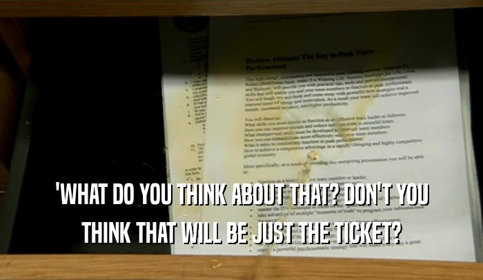 'WHAT DO YOU THINK ABOUT THAT? DON'T YOU THINK THAT WILL BE JUST THE TICKET? 