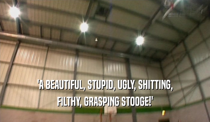 'A BEAUTIFUL, STUPID, UGLY, SHITTING, FILTHY, GRASPING STOOGE!' 