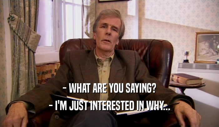 - WHAT ARE YOU SAYING? - I'M JUST INTERESTED IN WHY... 