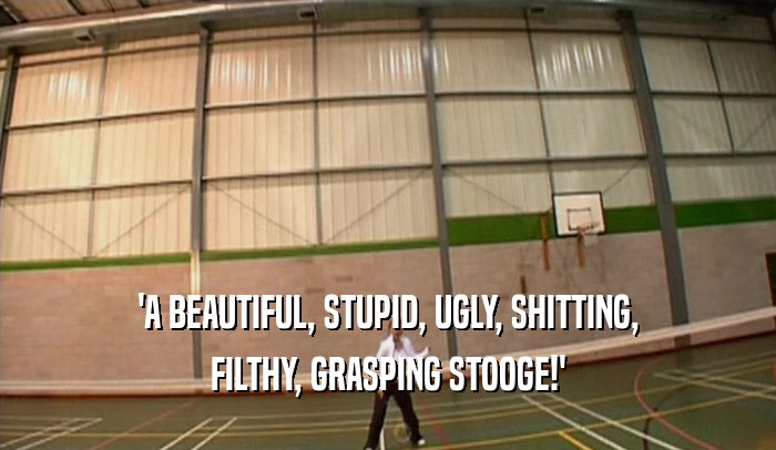 'A BEAUTIFUL, STUPID, UGLY, SHITTING, FILTHY, GRASPING STOOGE!' 