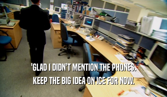 'GLAD I DIDN'T MENTION THE PHONES. KEEP THE BIG IDEA ON ICE FOR NOW. 