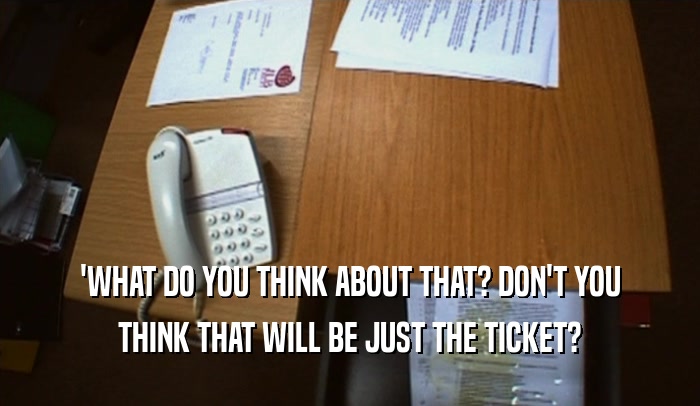 'WHAT DO YOU THINK ABOUT THAT? DON'T YOU THINK THAT WILL BE JUST THE TICKET? 
