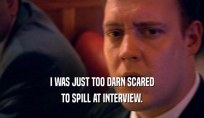 I WAS JUST TOO DARN SCARED TO SPILL AT INTERVIEW. 