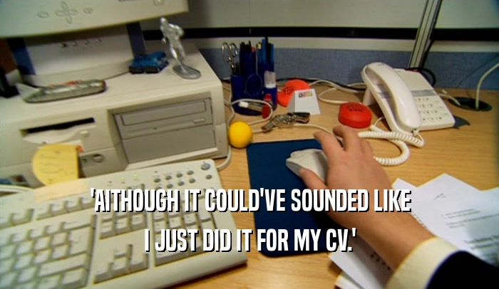 'AITHOUGH IT COULD'VE SOUNDED LIKE I JUST DID IT FOR MY CV.' 