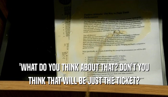 'WHAT DO YOU THINK ABOUT THAT? DON'T YOU THINK THAT WILL BE JUST THE TICKET? 