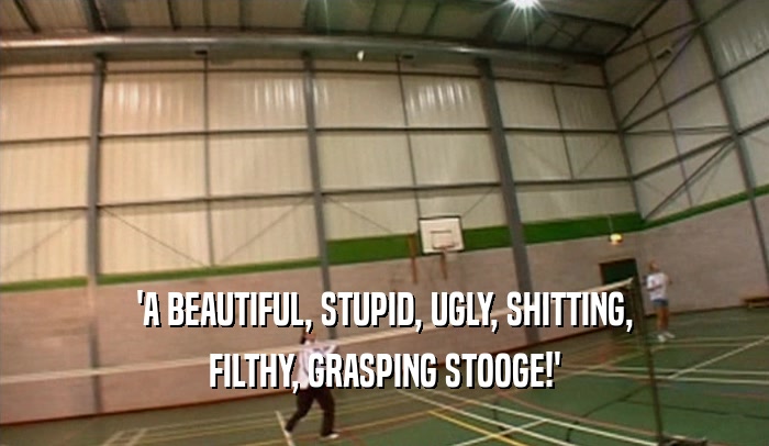 'A BEAUTIFUL, STUPID, UGLY, SHITTING, FILTHY, GRASPING STOOGE!' 