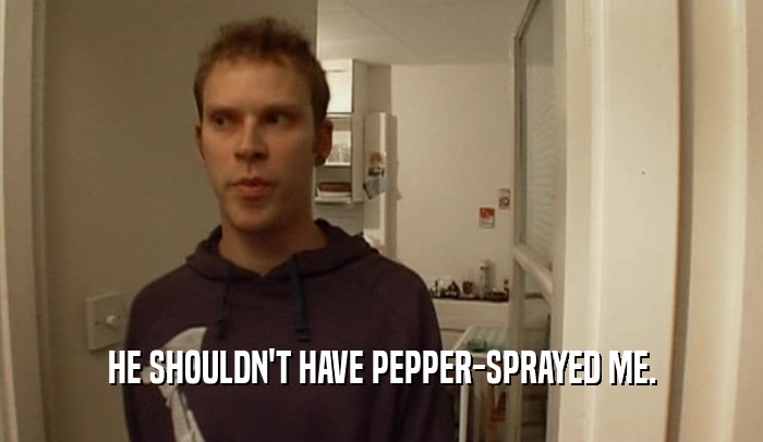 HE SHOULDN'T HAVE PEPPER-SPRAYED ME.
  