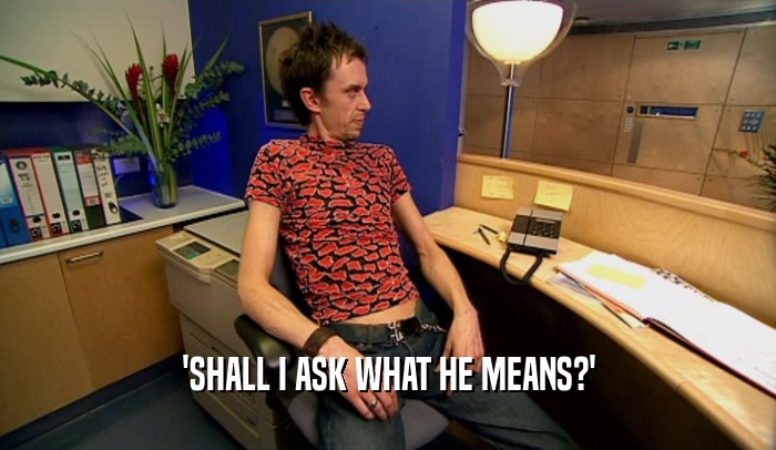'SHALL I ASK WHAT HE MEANS?'
  