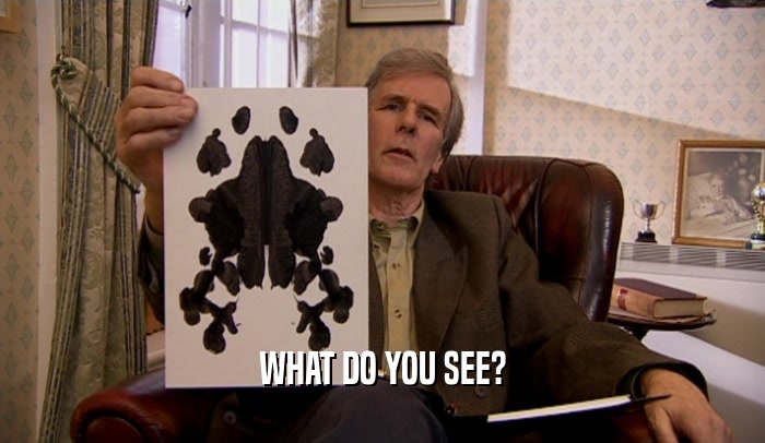 WHAT DO YOU SEE?  