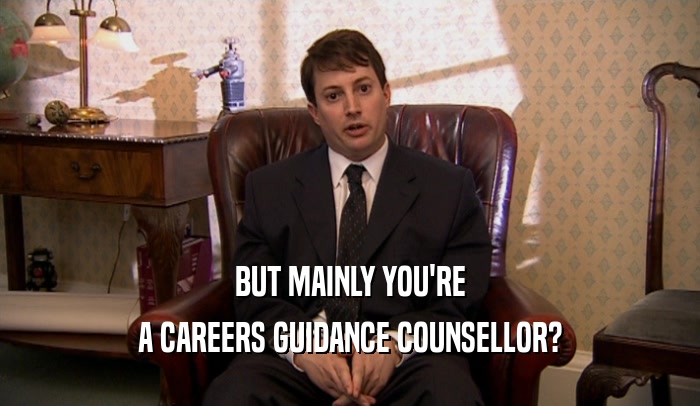 BUT MAINLY YOU'RE A CAREERS GUIDANCE COUNSELLOR? 