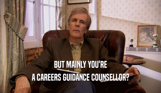 BUT MAINLY YOU'RE A CAREERS GUIDANCE COUNSELLOR? 