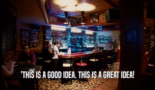 'THIS IS A GOOD IDEA. THIS IS A GREAT IDEA!  