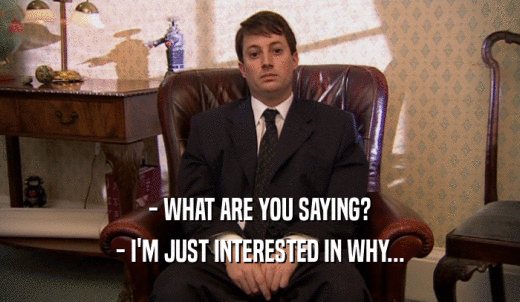- WHAT ARE YOU SAYING? - I'M JUST INTERESTED IN WHY... 