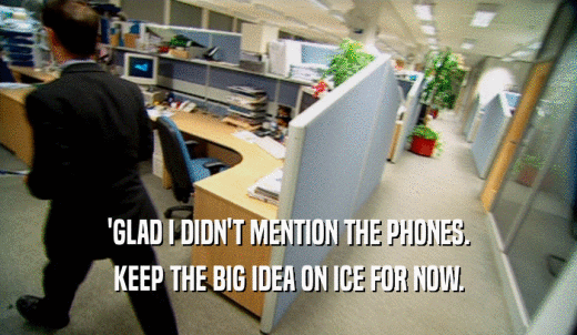 'GLAD I DIDN'T MENTION THE PHONES. KEEP THE BIG IDEA ON ICE FOR NOW. 