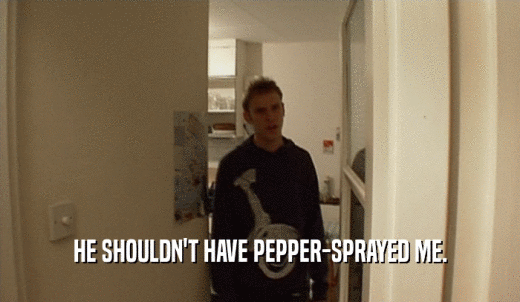 HE SHOULDN'T HAVE PEPPER-SPRAYED ME.  