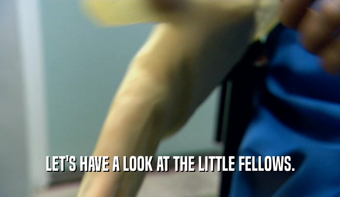 LET'S HAVE A LOOK AT THE LITTLE FELLOWS.  