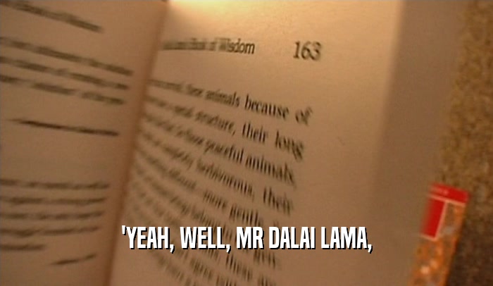 'YEAH, WELL, MR DALAI LAMA,  
