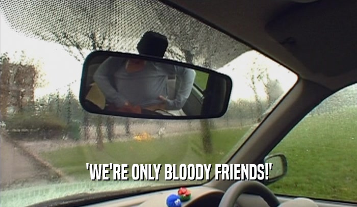 'WE'RE ONLY BLOODY FRIENDS!'
  