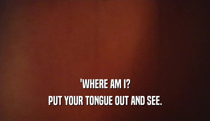 'WHERE AM I? PUT YOUR TONGUE OUT AND SEE. 
