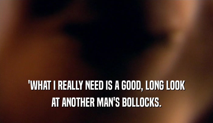 'WHAT I REALLY NEED IS A GOOD, LONG LOOK AT ANOTHER MAN'S BOLLOCKS. 