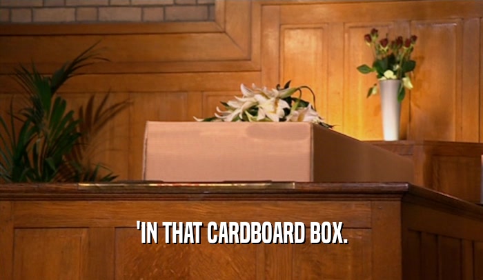 'IN THAT CARDBOARD BOX.
  