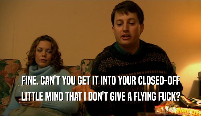 FINE. CAN'T YOU GET IT INTO YOUR CLOSED-OFF LITTLE MIND THAT I DON'T GIVE A FLYING FUCK? 