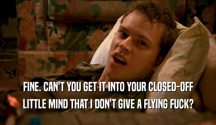 FINE. CAN'T YOU GET IT INTO YOUR CLOSED-OFF LITTLE MIND THAT I DON'T GIVE A FLYING FUCK? 