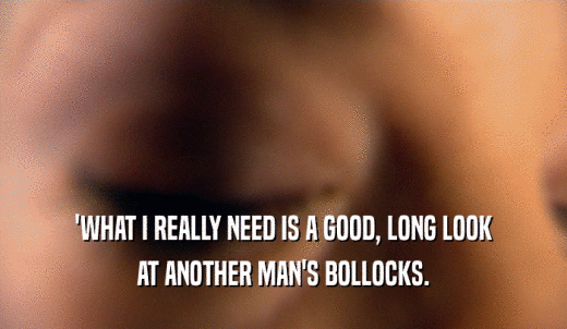 'WHAT I REALLY NEED IS A GOOD, LONG LOOK AT ANOTHER MAN'S BOLLOCKS. 