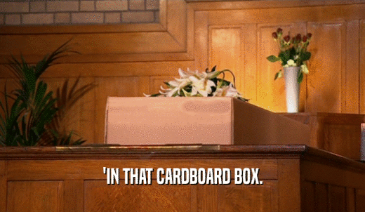 'IN THAT CARDBOARD BOX.  