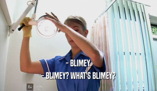 - BLIMEY. - BLIMEY? WHAT'S BLIMEY? 