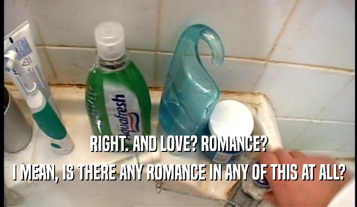 RIGHT. AND LOVE? ROMANCE? I MEAN, IS THERE ANY ROMANCE IN ANY OF THIS AT ALL? 
