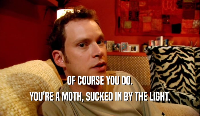 OF COURSE YOU DO. YOU'RE A MOTH, SUCKED IN BY THE LIGHT. 