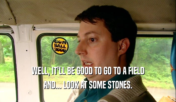 WELL, IT'LL BE GOOD TO GO TO A FIELD AND... LOOK AT SOME STONES. 