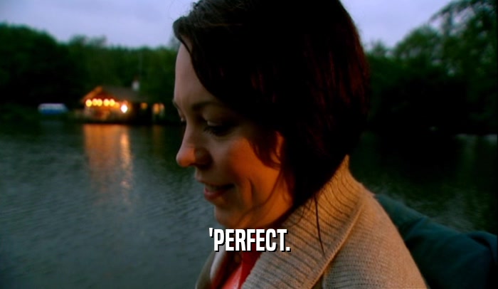 'PERFECT.  