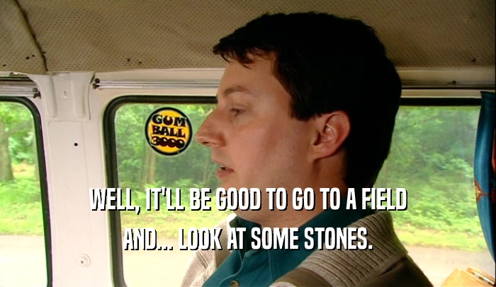 WELL, IT'LL BE GOOD TO GO TO A FIELD AND... LOOK AT SOME STONES. 